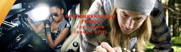 МДПВ Куйбышев