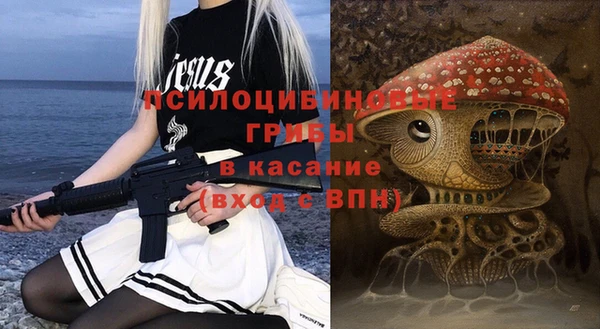 а пвп мука Ельня