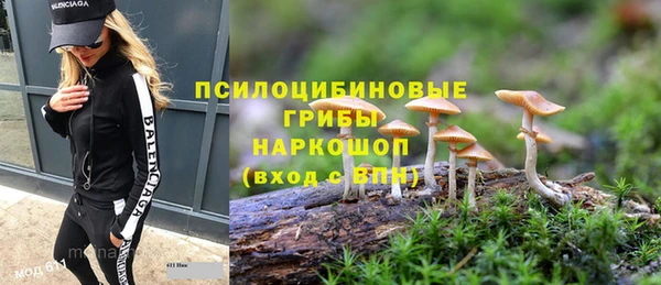 а пвп мука Елизово