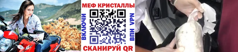 МЯУ-МЯУ мяу мяу  Судак 