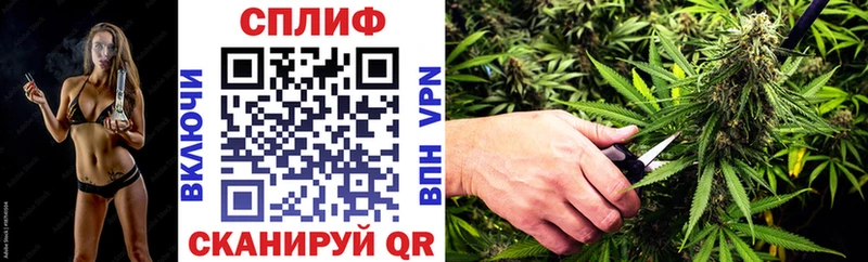 Шишки марихуана Bruce Banner  Судак 